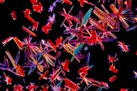 Vitamine B12 - microscope - fond noir x25